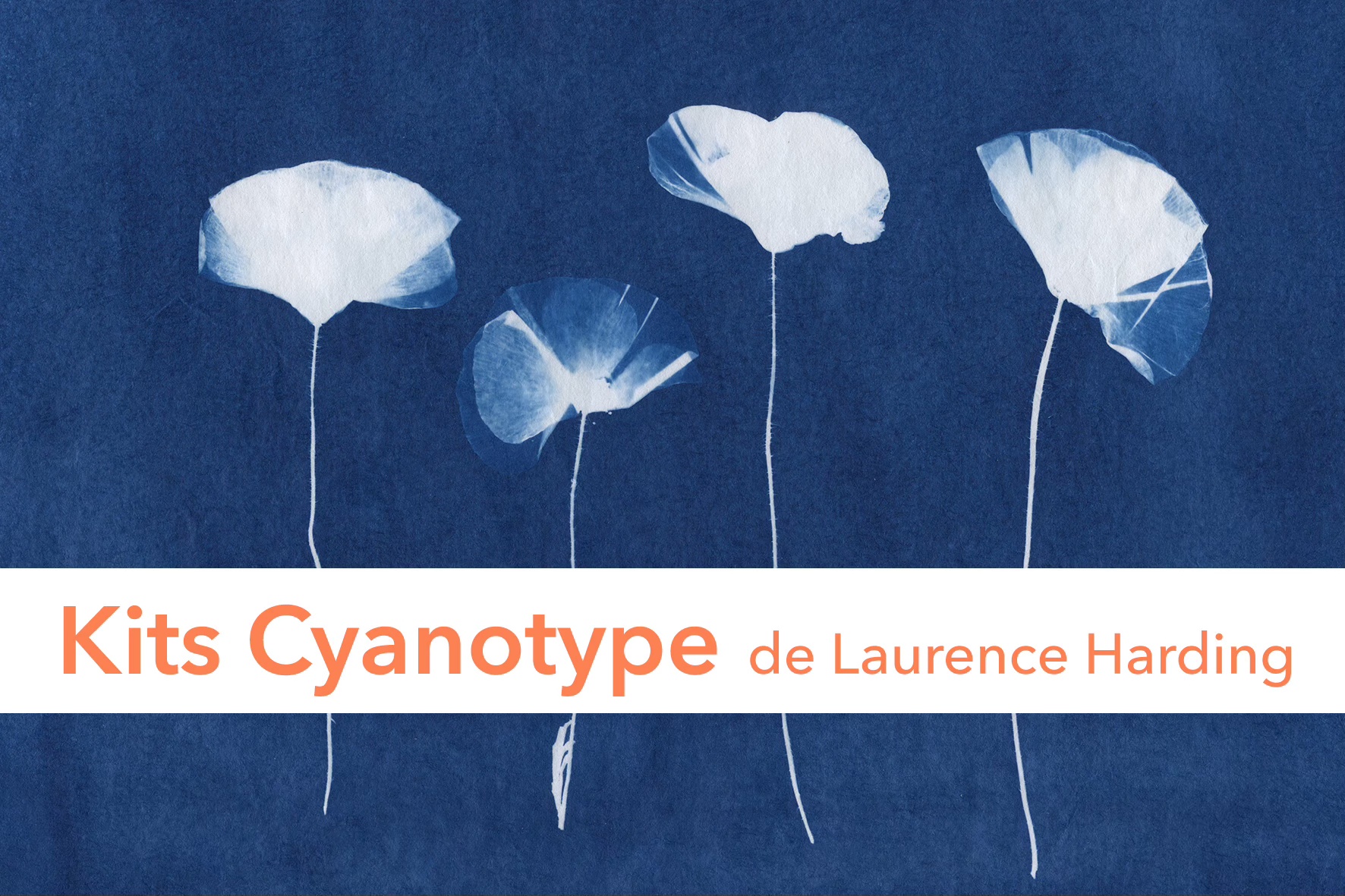 Cyanotype Kit Label 2-Kits